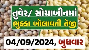 Turmeric And Soybeans Price 04-09-2024 તુવેર સોયાબીન ના બજાર ભાવ gkmarugujarat.com