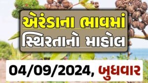 Eranda Price 04-09-2024 આજના એરંડા ના બજાર ભાવ gkmarugujarat.com