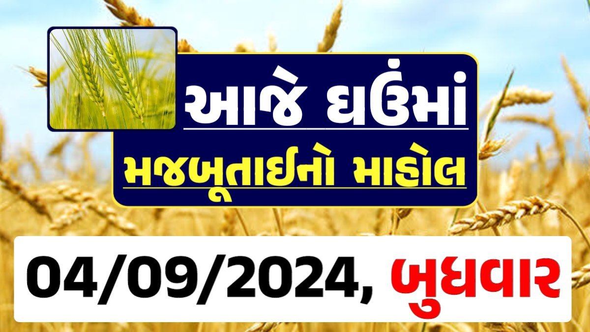 Ghau Price 04-09-2024 આજના લોકવન અને ટુકડા ઘઉં ના બજાર ભાવ gkmarugujarat.com