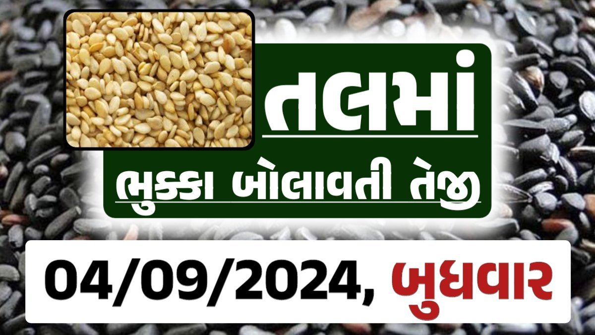 Tal price 04-09-2024 આજના સફેદ અને કાળા તલ ના બજાર ભાવ Gkmarugujarat.com