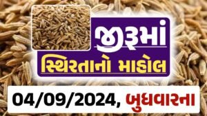 jiru Price 04-09-2024 આજના જીરૂ ના બજાર ભાવ gkmarugujarat.com