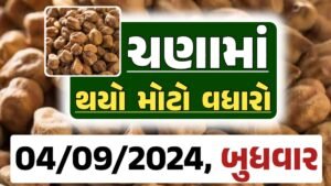 Chana Price 04-09-2024 આજના ચણા ના બજાર ભાવ gkmarugujarat.com