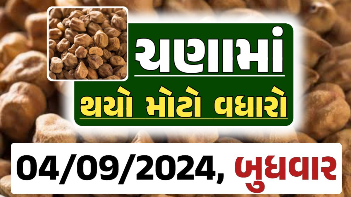 Chana Price 04-09-2024 આજના ચણા ના બજાર ભાવ gkmarugujarat.com