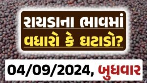 Rayda Price 04-09-2024 આજના રાયડા ના બજાર ભાવ gkmarugujarat.com