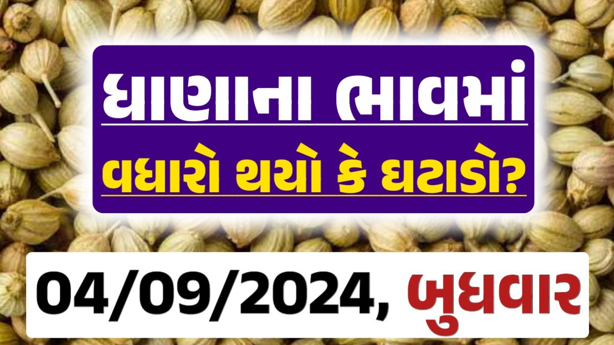 Dhana Price 04-09-2024 આજના ધાણા ના બજાર ભાવ gkmarugujarat.com