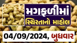 Magfali Price 04-09-2024 જાડી અને જીણી મગફળી ના ભાવ Gkmarugujarat.com