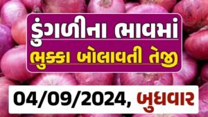 Onion Price 04-09-2024 લાલ અને સફેદ ડુંગળી ના બજાર ભાવ Gkmarugujarat.com