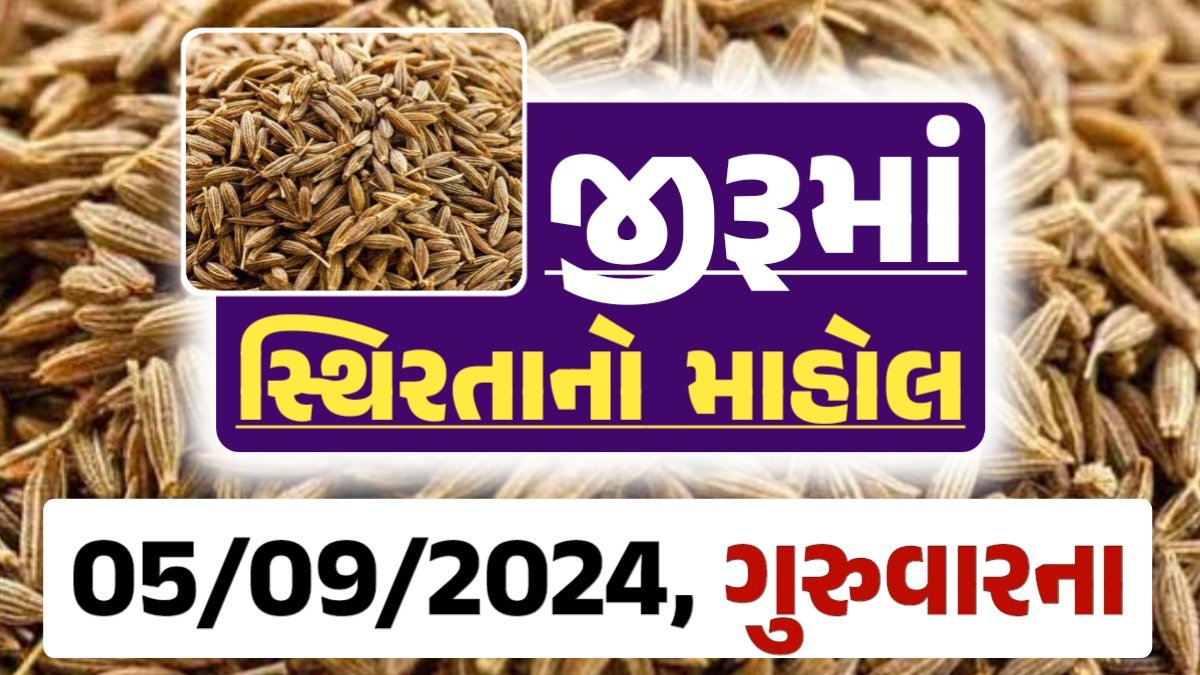 jiru Price 05-09-2024 આજના જીરૂ ના બજાર ભાવ gkmarugujarat.com