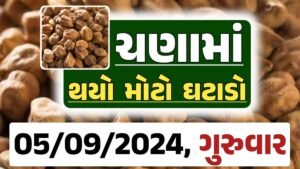 Chana Price 05-09-2024 આજના ચણા ના બજાર ભાવ gkmarugujarat.com