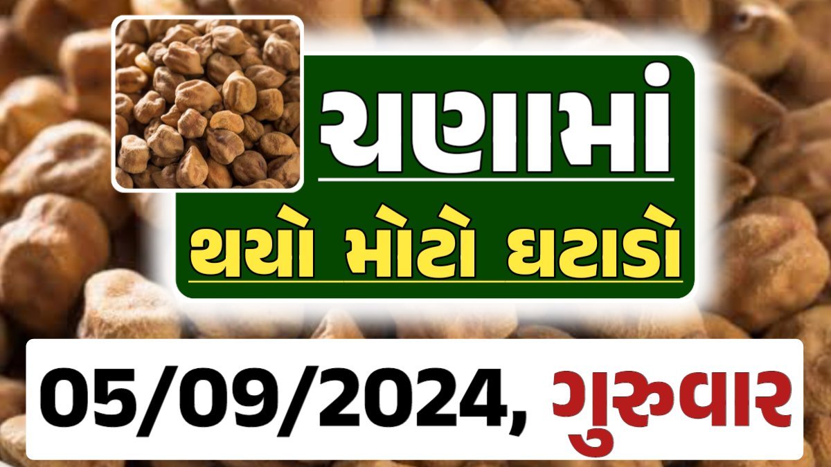 Chana Price 05-09-2024 આજના ચણા ના બજાર ભાવ gkmarugujarat.com