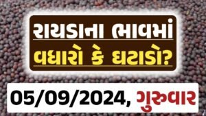 Rayda Price 05-09-2024 આજના રાયડા ના બજાર ભાવ gkmarugujarat.com