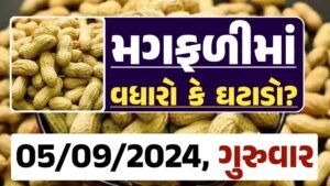 Magfali Price 05-09-2024 જાડી અને જીણી મગફળી ના ભાવ Gkmarugujarat.com