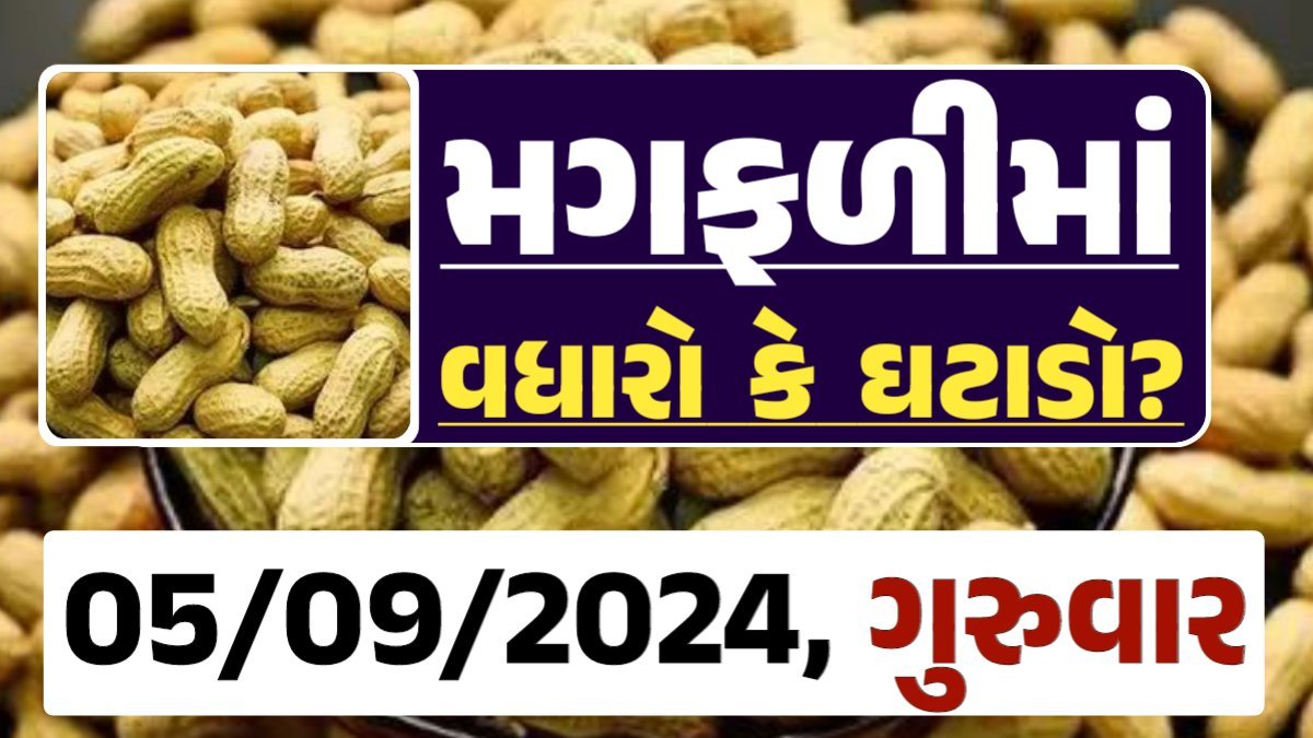 Magfali Price 05-09-2024 જાડી અને જીણી મગફળી ના ભાવ Gkmarugujarat.com