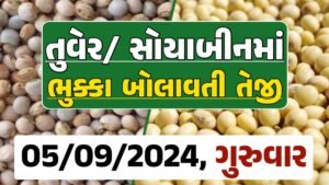 Turmeric And Soybeans Price 05-09-2024 તુવેર સોયાબીન ના બજાર ભાવ gkmarugujarat.com