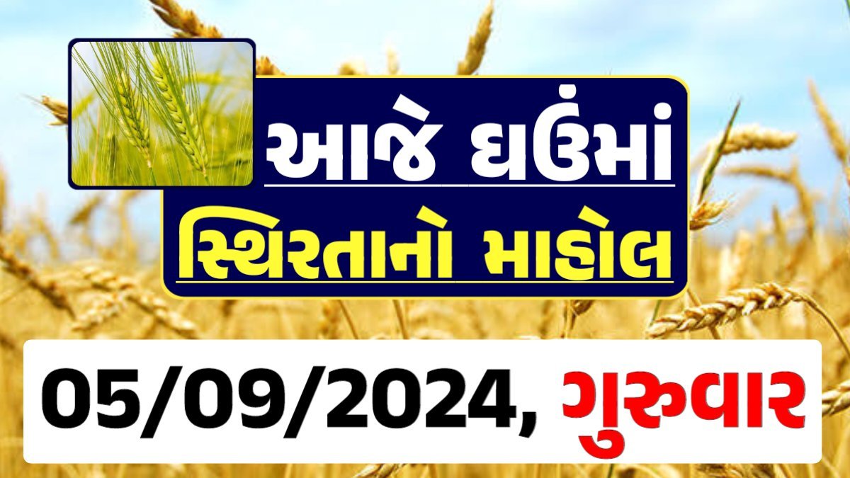 Ghau Price 05-09-2024 આજના લોકવન અને ટુકડા ઘઉં ના બજાર ભાવ gkmarugujarat.com