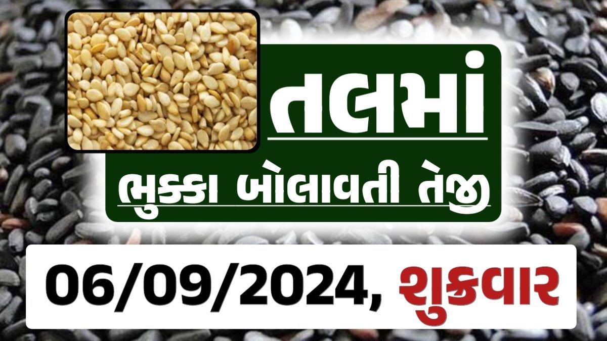 Tal price 06-09-2024 આજના સફેદ અને કાળા તલ ના બજાર ભાવ Gkmarugujarat.com