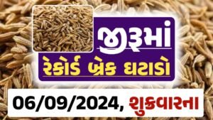 jiru Price 06-09-2024 આજના જીરૂ ના બજાર ભાવ gkmarugujarat.com