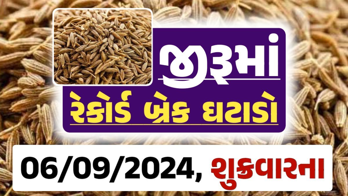 jiru Price 06-09-2024 આજના જીરૂ ના બજાર ભાવ gkmarugujarat.com