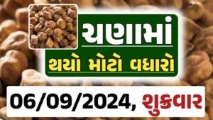 Chana Price 06-09-2024 આજના ચણા ના બજાર ભાવ gkmarugujarat.com