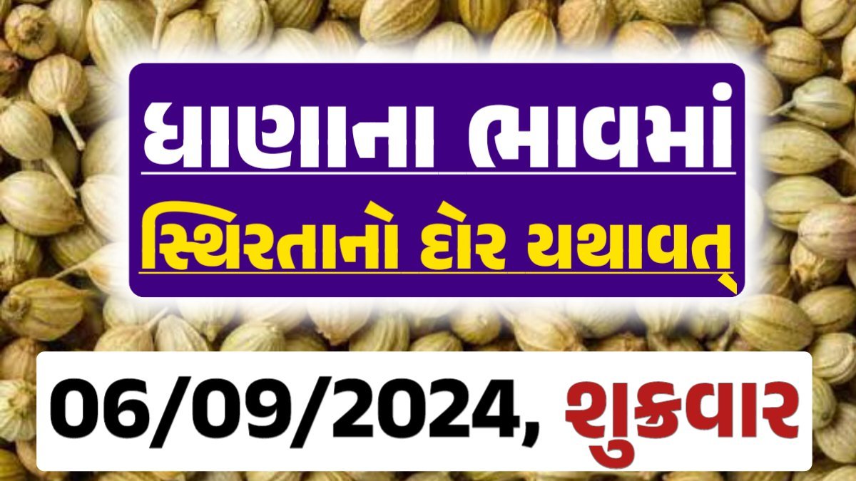 Dhana Price 06-09-2024 આજના ધાણા ના બજાર ભાવ gkmarugujarat.com