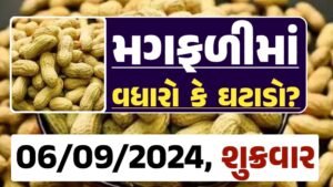 Magfali Price 06-09-2024 જાડી અને જીણી મગફળી ના ભાવ Gkmarugujarat.com