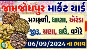 Jamjodhpur Apmc Rate 06-09-2024 આજના જામજોધપુર માર્કેટના બજાર ભાવ Gkmarugujarat.com