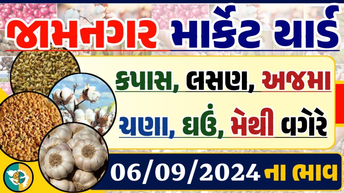 Jamnagar Apmc Rate 06-09-2024 આજના જામનગર ના બજાર ભાવ Gkmarugujarat.com