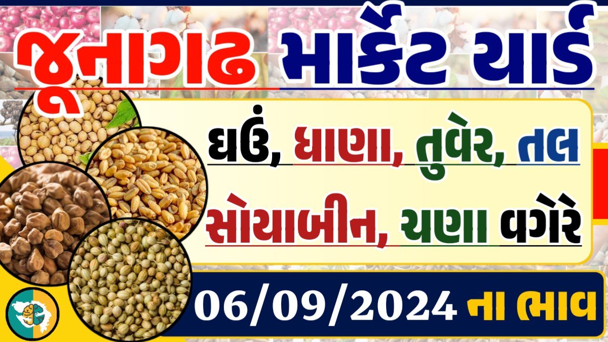 Junagadh Apmc Rate 06-09-2024 આજના જુનાગઢ ના બજાર ભાવ Gkmarugujarat.com