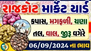 Rajkot Apmc Rate 06-09-2024 આજના રાજકોટ માર્કેટના બજાર ભાવ Gkmarugujarat.com