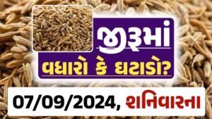 jiru Price 07-09-2024 આજના જીરૂ ના બજાર ભાવ gkmarugujarat.com