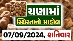 Chana Price 07-09-2024 આજના ચણા ના બજાર ભાવ gkmarugujarat.com