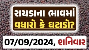 Rayda Price 07-09-2024 આજના રાયડા ના બજાર ભાવ gkmarugujarat.com