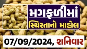 Magfali Price 07-09-2024 જાડી અને જીણી મગફળી ના ભાવ Gkmarugujarat.com