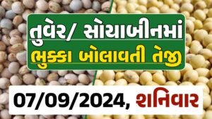 Turmeric And Soybeans Price 07-09-2024 તુવેર સોયાબીન ના બજાર ભાવ gkmarugujarat.com