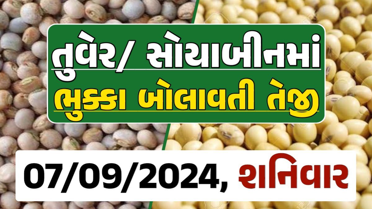 Turmeric And Soybeans Price 07-09-2024 તુવેર સોયાબીન ના બજાર ભાવ gkmarugujarat.com