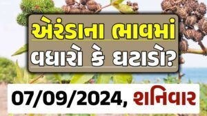 Eranda Price 07-09-2024 આજના એરંડા ના બજાર ભાવ gkmarugujarat.com