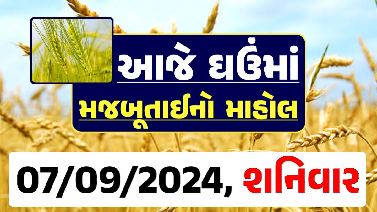 Ghau Price 07-09-2024 આજના લોકવન અને ટુકડા ઘઉં ના બજાર ભાવ gkmarugujarat.com