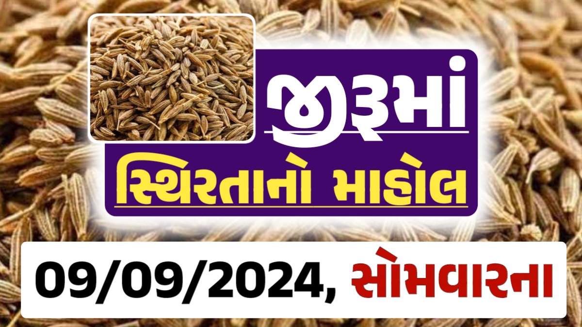 jiru Price 09-09-2024 આજના જીરૂ ના બજાર ભાવ gkmarugujarat.com