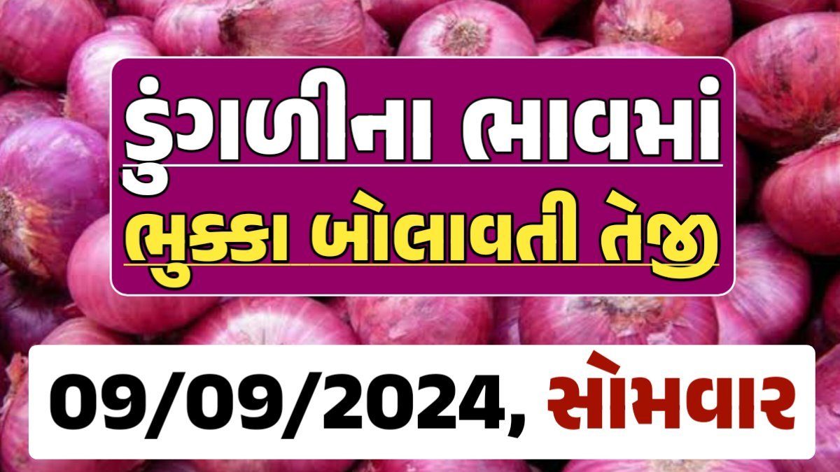 Onion Price 09-09-2024 લાલ અને સફેદ ડુંગળી ના બજાર ભાવ Gkmarugujarat.com