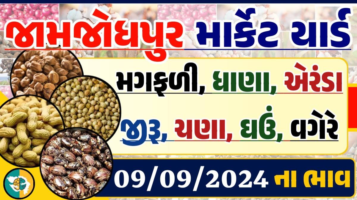 Jamjodhpur Apmc Rate 09-09-2024 આજના જામજોધપુર માર્કેટના બજાર ભાવ Gkmarugujarat.com