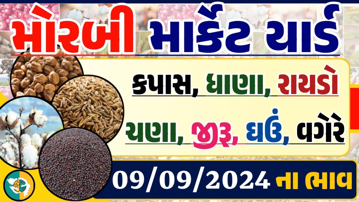 Morbi Apmc Rate 09-09-2024 આજના મોરબી માર્કેટના બજાર ભાવ Gkmarugujarat.com