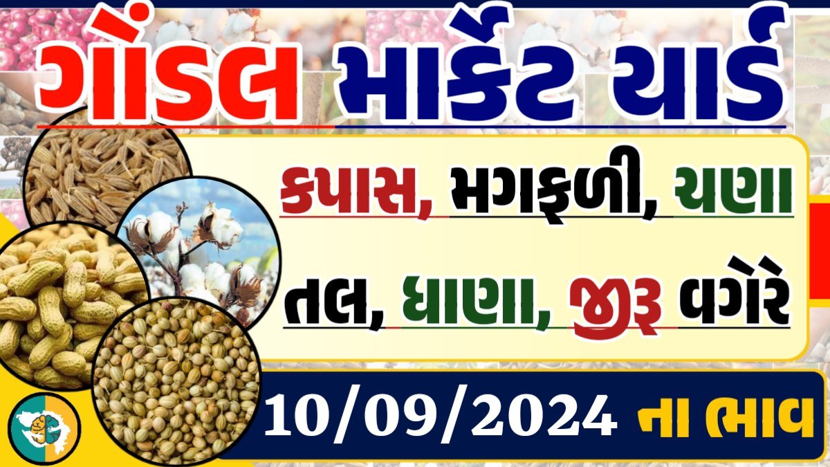 Gondal Apmc Rate 10-09-2024 આજના ગોંડલ માર્કેટ યાર્ડના બજાર ભાવ gkmarugujarat.com