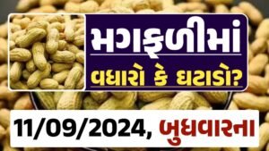 Magfali Price 11-09-2024 જાડી અને જીણી મગફળી ના ભાવ Gkmarugujarat.com