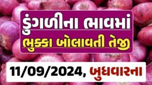 Onion Price 11-09-2024 લાલ અને સફેદ ડુંગળી ના બજાર ભાવ Gkmarugujarat.com