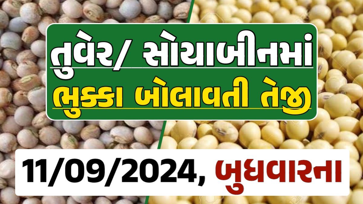 Turmeric And Soybeans Price 11-09-2024 તુવેર સોયાબીન ના બજાર ભાવ gkmarugujarat.com