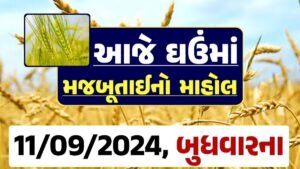 Ghau Price 11-09-2024 આજના લોકવન અને ટુકડા ઘઉં ના બજાર ભાવ gkmarugujarat.com