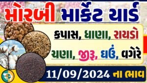 Morbi Apmc Rate 11-09-2024 આજના મોરબી માર્કેટના બજાર ભાવ Gkmarugujarat.com