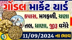 Gondal Apmc Rate 11-09-2024 આજના ગોંડલ માર્કેટ યાર્ડના બજાર ભાવ gkmarugujarat.com