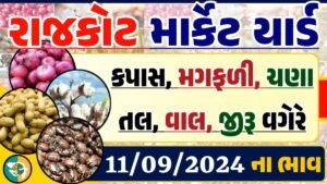 Rajkot Apmc Rate 11-09-2024 આજના રાજકોટ માર્કેટના બજાર ભાવ Gkmarugujarat.com