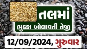 Tal price 12-09-2024 આજના સફેદ અને કાળા તલ ના બજાર ભાવ Gkmarugujarat.com